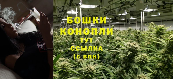 СК Зеленокумск