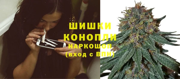 СК Зеленокумск