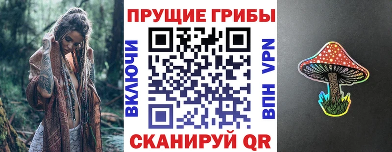Купить где  Белебей  Псилоцибиновые грибы прущие грибы 